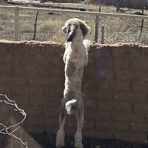 Meet your Posher, Patricia